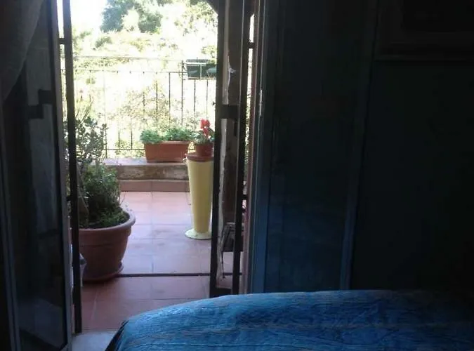 Carly & Dane ホームステイ