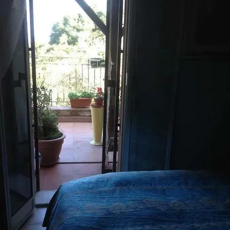 Carly & Dane Homestay